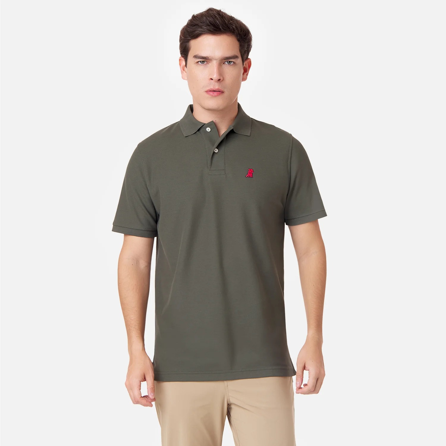 Men's Regular Fit Polo Shirt 4